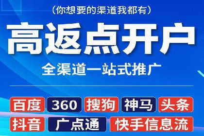 网络营销新篇章：竞价推广案例分析