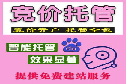 百度推广公司案例研究：揭秘电商行业爆款打造秘诀